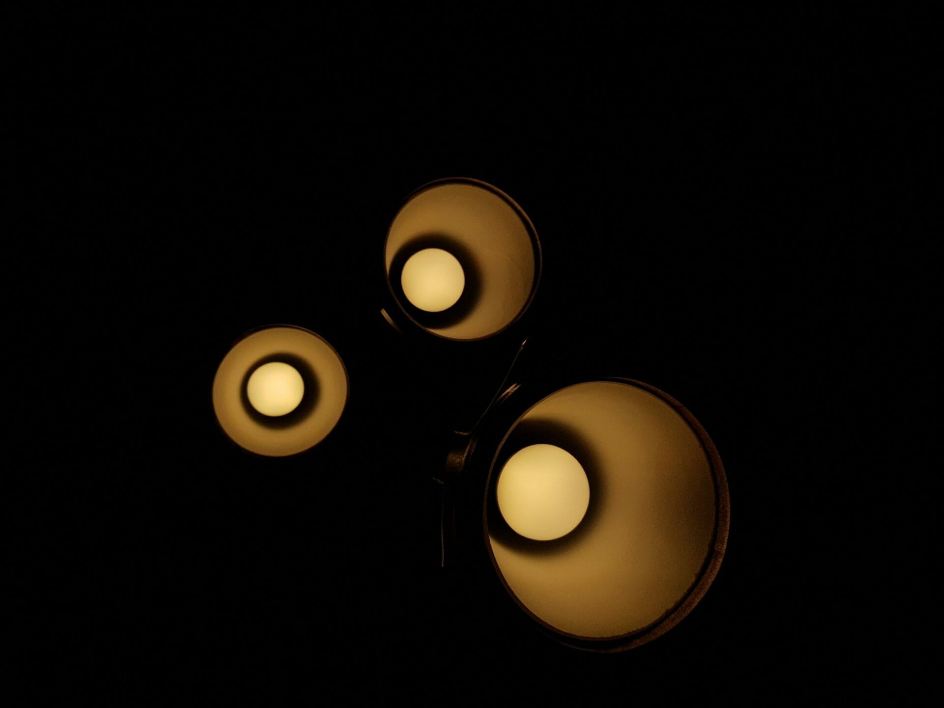 Photo by Chirayu Trivedi on Unsplash